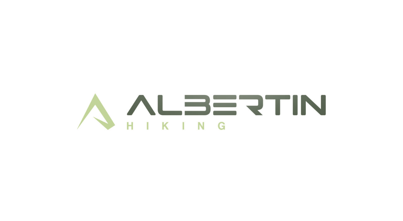 Logo erstellen - Albertin - Agentur für Logo Design